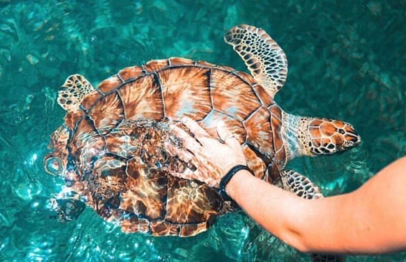 From Nassau: 3-Island Tour With Snorkeling and Swimming - Itinerary and Activities