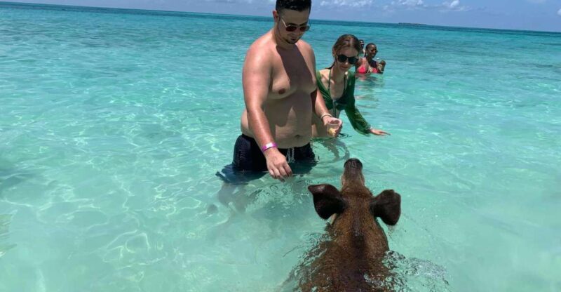 From Nassau: Boat Trip to Pig Beach With Unlimited Drinks - Included in the Tour