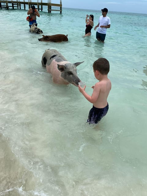 From Nassau: Boat Trip to Pig Beach With Unlimited Drinks - Inclusions