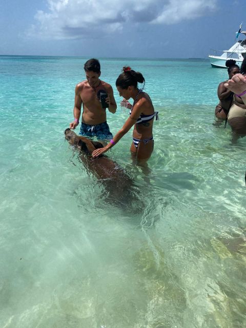 From Nassau: Boat Trip to Pig Beach With Unlimited Drinks - Important Information
