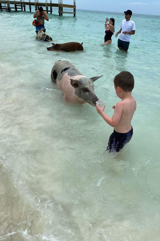 From Nassau: Boat Trip to Pig Beach With Unlimited Drinks - Customer Reviews