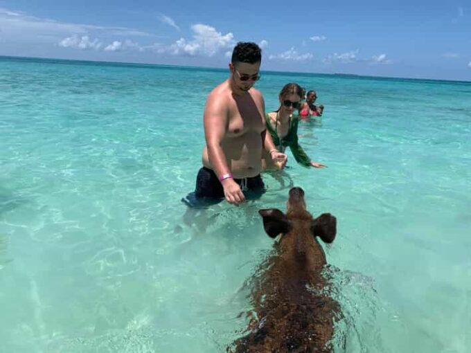 From Nassau: Boat Trip to Pig Beach With Unlimited Drinks - Frequently Asked Questions
