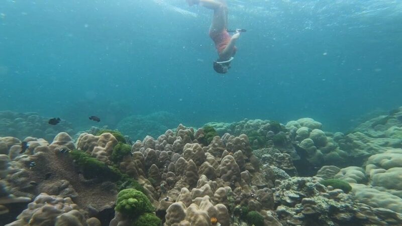 From Nassau: Eleuthera, Current, and Harbor Island Boat Tour - Inclusions and Amenities