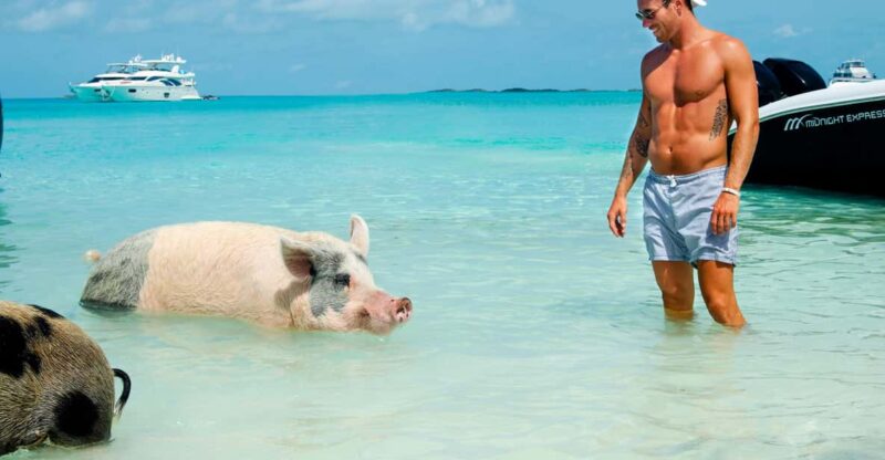 From Nassau: Swimming Pigs Island by Water Taxi With Drinks - Pricing and Inclusions