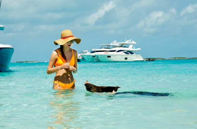 From Nassau: Swimming Pigs Island by Water Taxi With Drinks - Wildlife Viewing and Activities