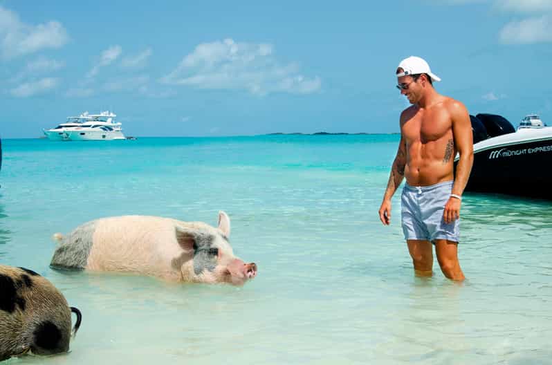 From Nassau: Swimming Pigs Island by Water Taxi With Drinks - Booking and Cancellation Policy