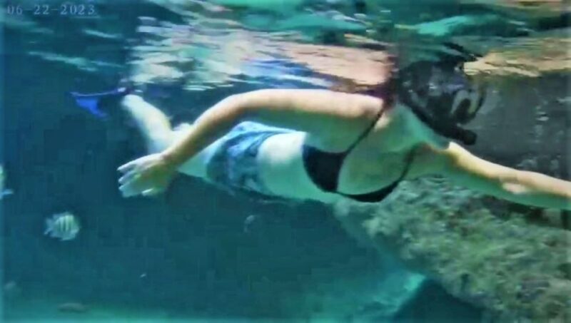 From Nassau:Air-Sea Promotion Breathtaking TourSwimming Pigs - Food and Beverages