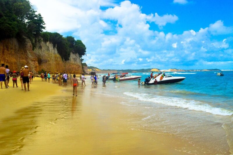 From Natal: Pipa Beach Full-Day Excursion - Highlights of the Excursion