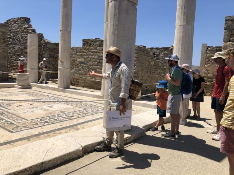 From Naxos: Delos and Mykonos Day Trip With Licensed Guide - Entrance Ticket Inclusion