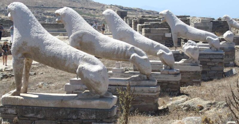 From Naxos: Delos and Mykonos Full-Day Boat Trip - Important Information