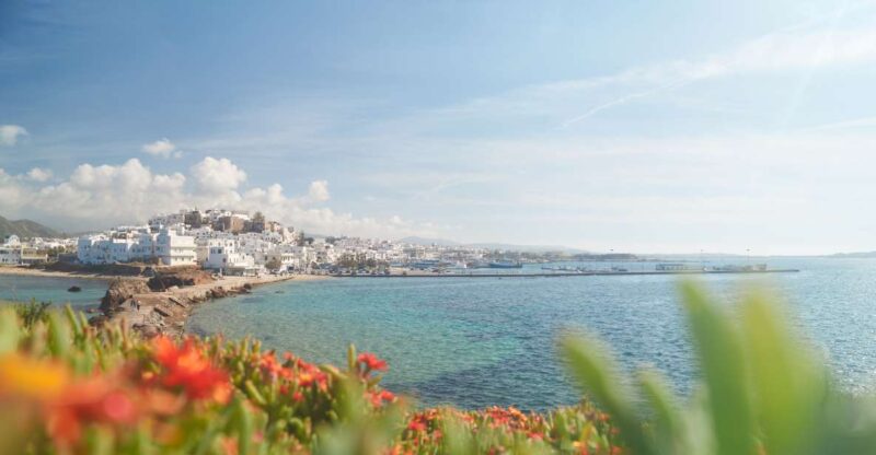 From Naxos: Delos and Mykonos Full-Day Trip by Catamaran - Key Points