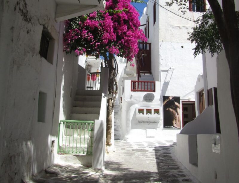 From Naxos: Round Day Trip to Mykonos Island - What to Bring and Recommendations