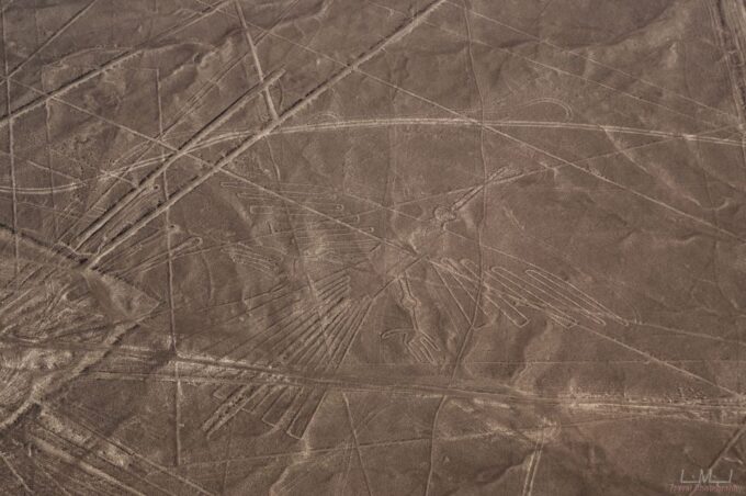 From Nazca: 35-Minute Flight Over Nazca Lines - Customer Review Highlights