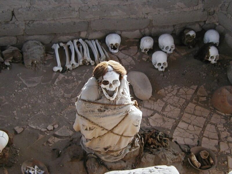 From Nazca|| Archaeological Tour of Nazca + Antonini Museum - Tour Highlights