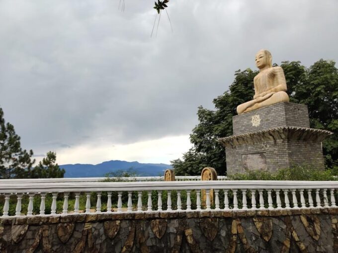 From Negombo: Ambuluwawa Tower & Tea Factory,Kandy Day Trip - Customer Reviews