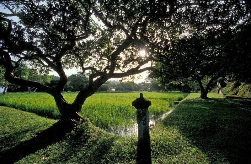 From Negombo and Colombo: Bawas Estate & Brief Garden Tour - Key Points