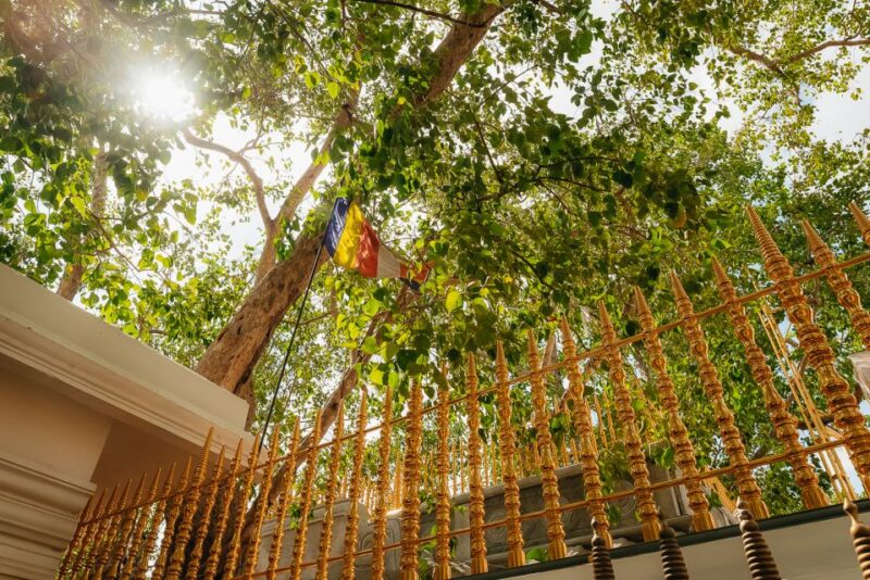 From Negombo: Anuradhapura to Wilpattu National Park 2-Day - Resident Wildlife and Landscapes
