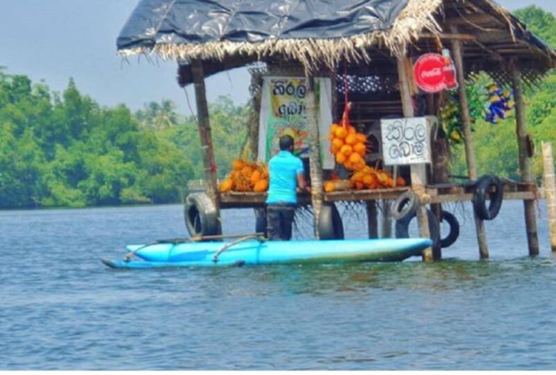 From Negombo: Galle Dutch Fort & Madu River Safari Tour - Additional Information