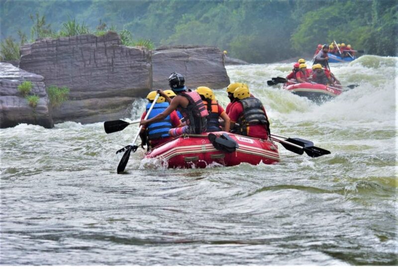 From Negombo: Kithulgala Rapids Adventure! - Transportation and Logistics