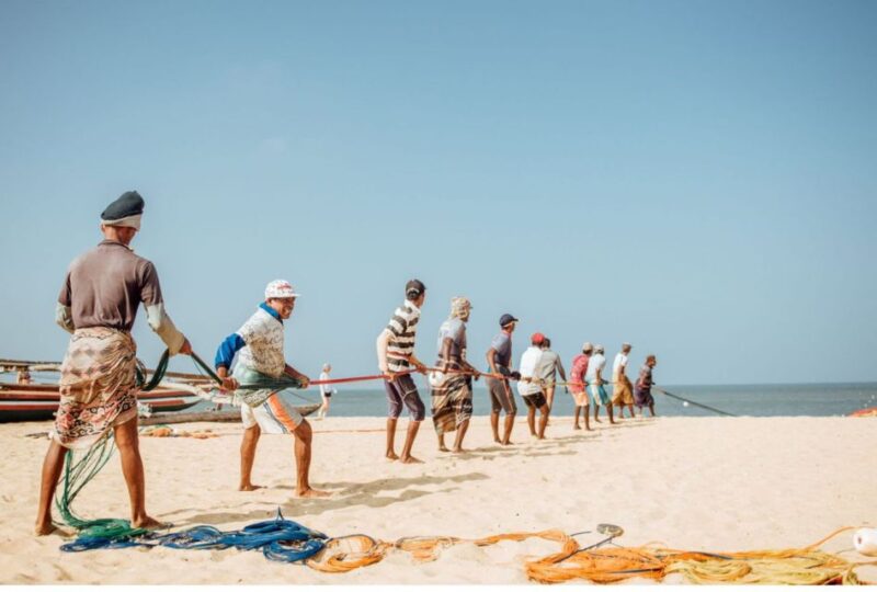 From Negombo: Lagoon Serenity: Dutch Canal Magic - Itinerary and Experience