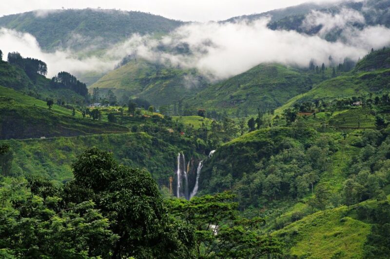 From Negombo or Colombo: 5-Day Central Highlands Tour - Accommodation and Transportation