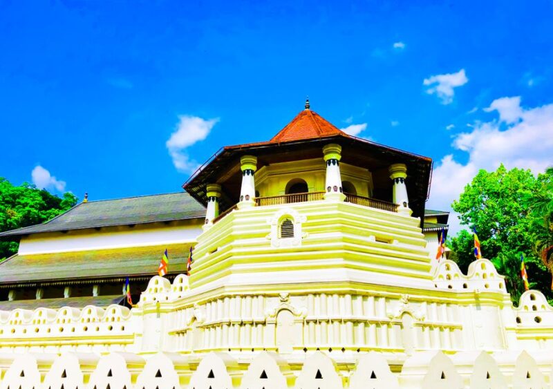 From Negombo or Colombo: 5-Day Central Highlands Tour - About the Tour Group Size