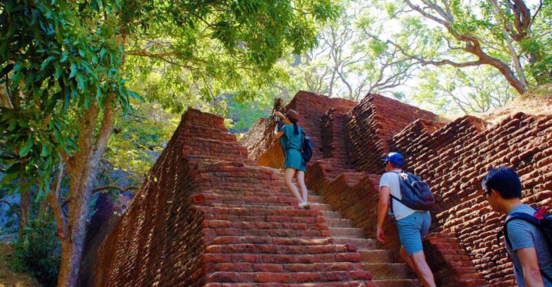 From Negombo: Sigiriya and Dambulla Day Trip - Itinerary Details