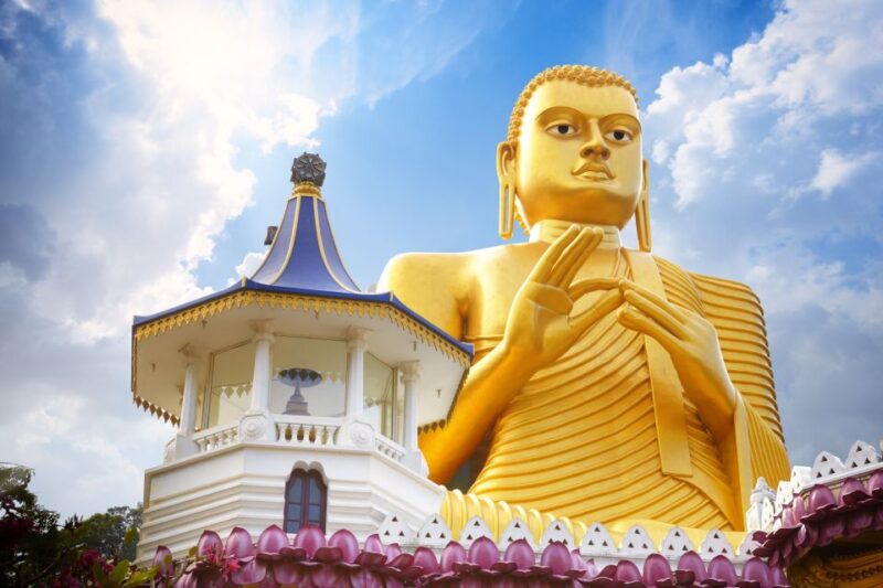 From Negombo: Sigiriya and Dambulla Day Trip - Customer Reviews and Ratings