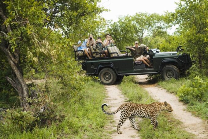 From Negombo: Wilpattu National Park Safari Guided Day Tour - Recap