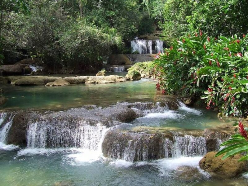 From Negril: YS Falls and the Pelican Bar - Key Points