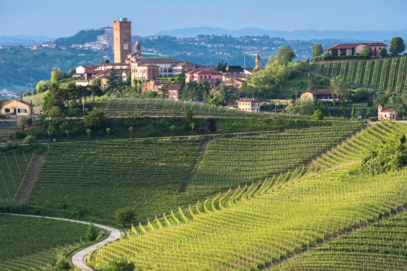 From Neive: Guided E-Bike Tour to Barbaresco and Treiso - Key Points