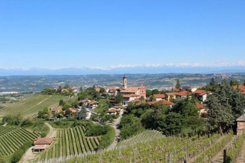 From Neive: Guided E-Bike Tour to Barbaresco and Treiso - Itinerary Details