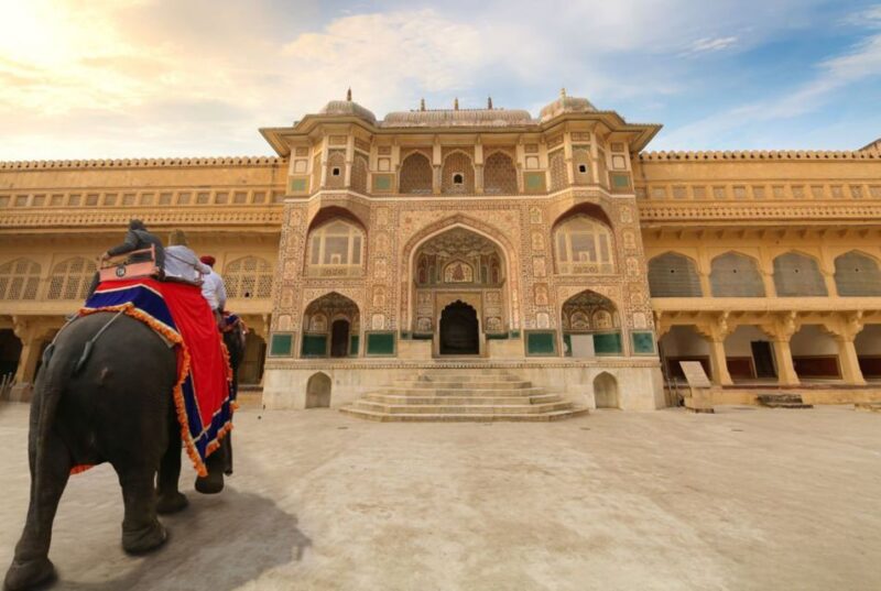 From New Delhi: 5-Day Golden Triangle Trip With Ranthambore - Pricing and Payment Options