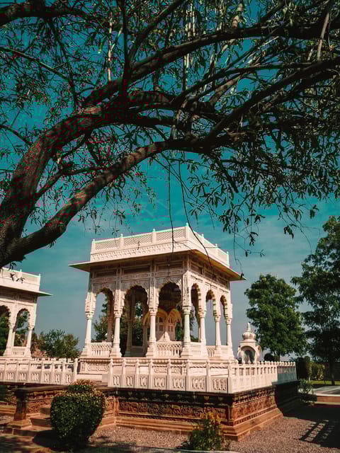 From New Delhi: Delhi to Jaipur Same Day Tour - Key Points