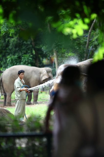 From New Delhi: Elephant SOS & Taj Mahal Sunrise Tour - Key Points