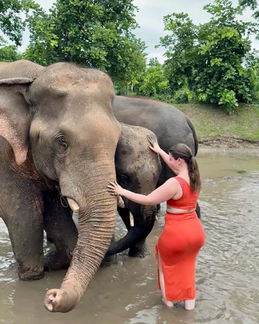 From New Delhi: Elephant SOS & Taj Mahal Sunrise Tour - Tour Inclusions