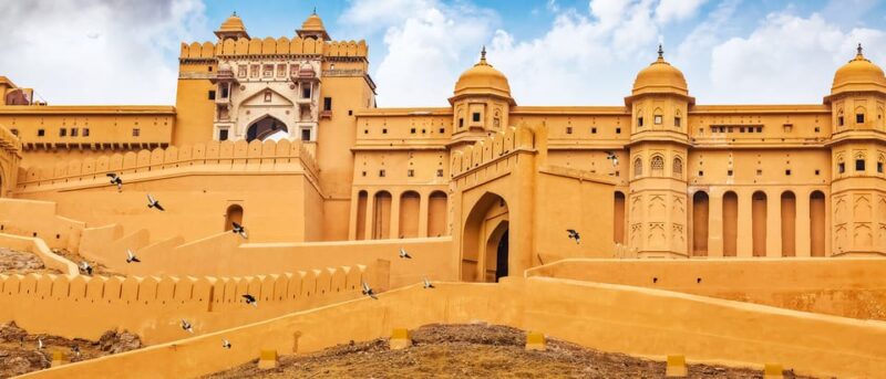 From New Delhi: Private Day Trip to Jaipur With Local Guide - Included Services