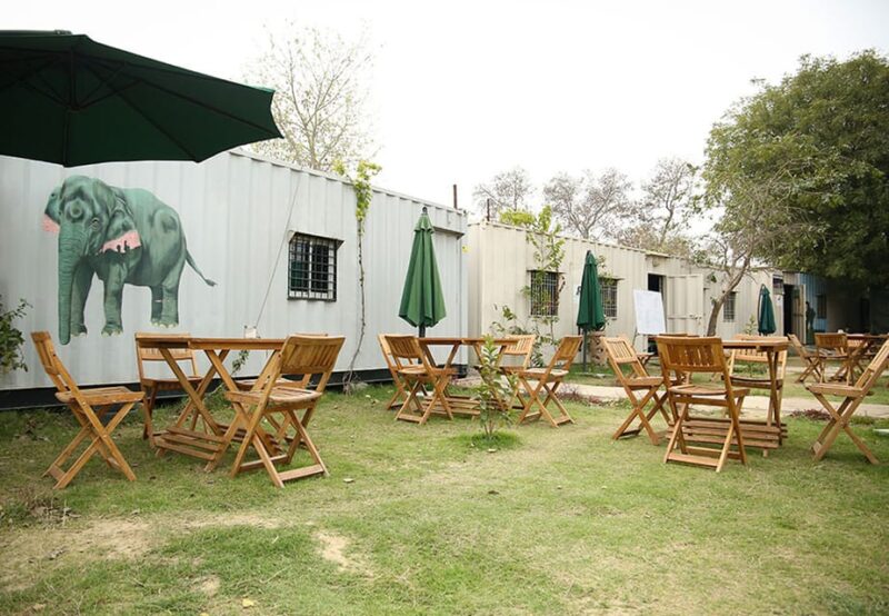 From New Delhi: Taj Mahal and Elephant Conservation Centre - Customer Feedback
