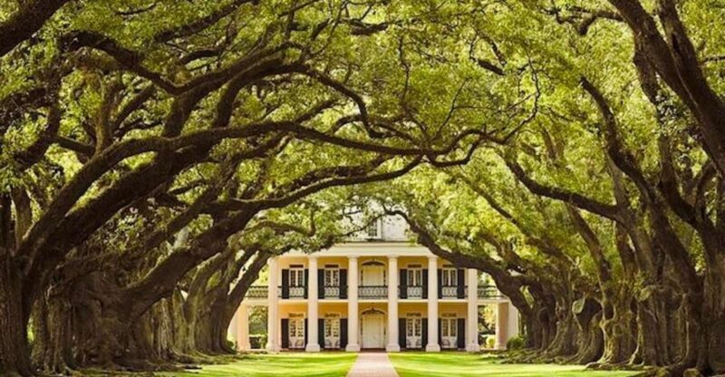 From New Orleans: Oak Alley or Laura Plantation Tour - Laura Plantation Tour