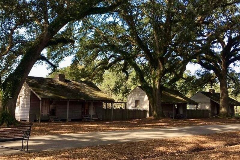 From New Orleans: Oak Alley or Laura Plantation Tour - Tour Details