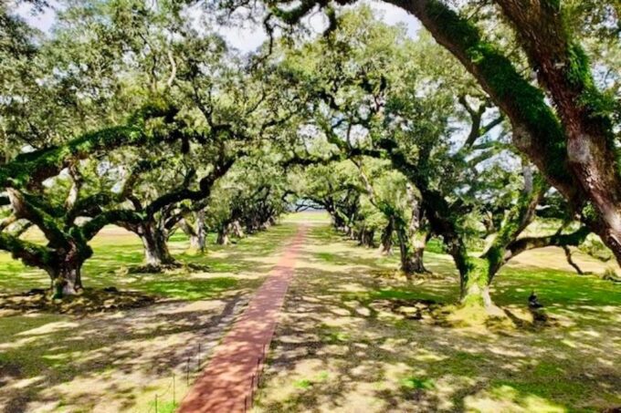 From New Orleans: Oak Alley or Laura Plantation Tour - Frequently Asked Questions