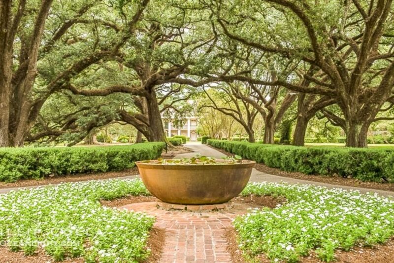 From New Orleans: Oak Alley Plantation Tour - Booking Information