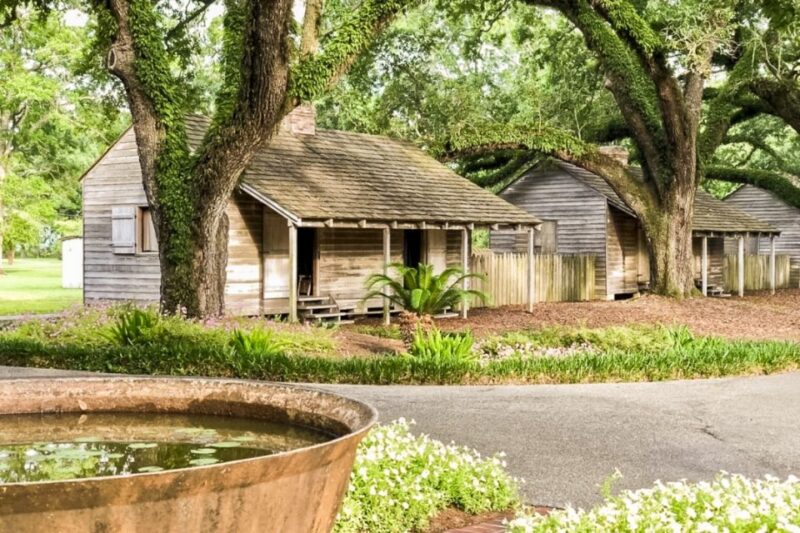 From New Orleans: Oak Alley Plantation Tour - Tour Highlights
