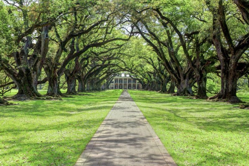 From New Orleans: Oak Alley Plantation Tour - Transportation Details