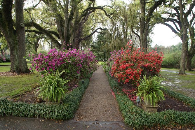 From New Orleans: Private Haunted Myrtles Plantation Adventure - Exploring the Plantation Grounds