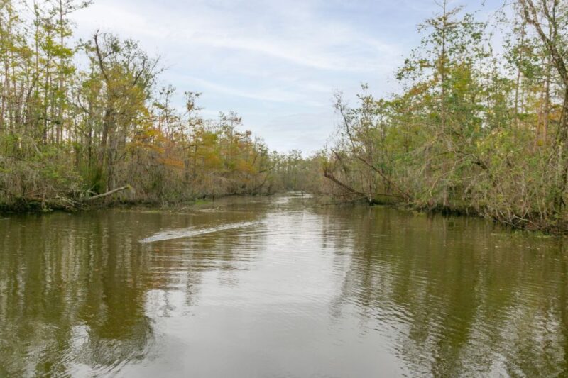 From New Orleans: Swamp Airboat, 2 Plantation Tours & Lunch - Included Features