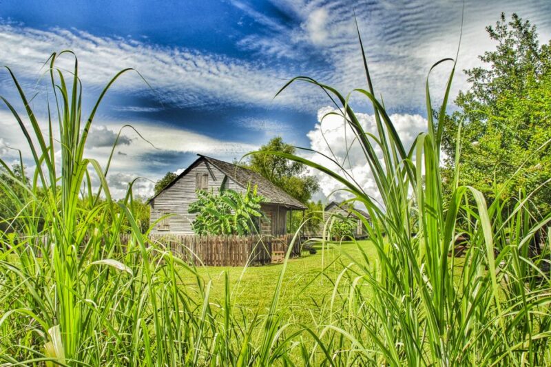 From New Orleans: Whitney Plantation Ticket & Transportation - Self-Guided Audio Tour