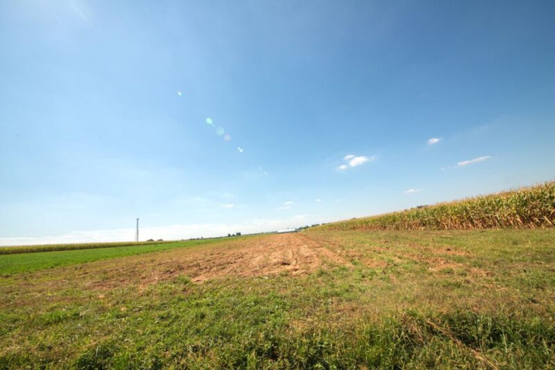 From New York City: Philadelphia and Amish Country Day Trip - Tour Inclusions