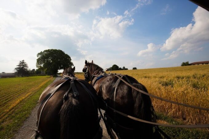 From New York City: Philadelphia and Amish Country Day Trip - Booking Information