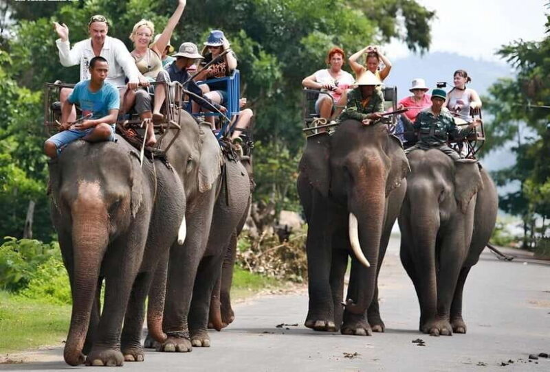 From Nha Trang : 1-Day Da Lat Tour - Language Support